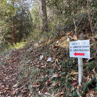 あと少し…本当？😅