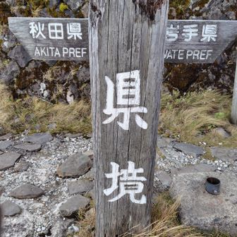 はい、本日はこれにて終了👋
骨折以来一番歩いた👣
15000歩‼️
また、歩きすぎって言われるわ😜💦