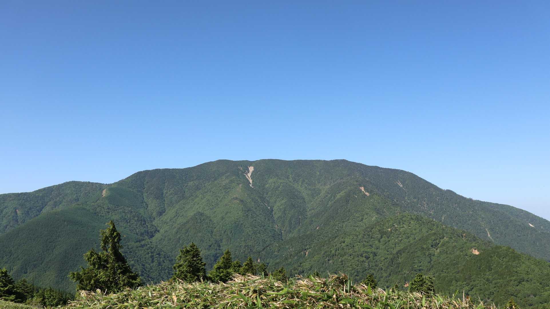 神坂峠登山口-千両山-鳥越峠-大判山 往復コースの写真