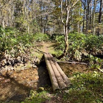 橋を渡れば登山口