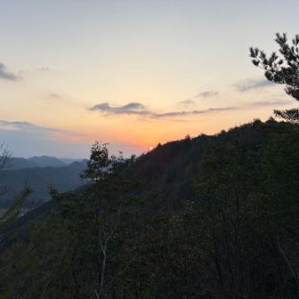 ↙️左に下りて松の木を避けて再度☀️