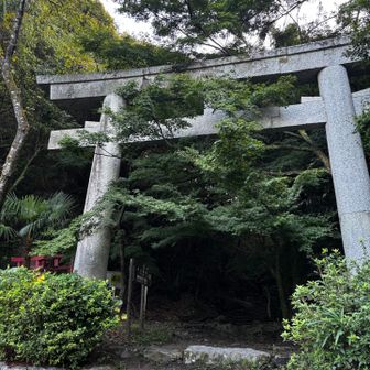 涼しくなってきたからでしょうか、登る方も多いように思います