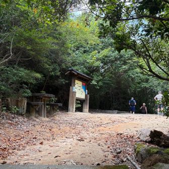 山頂近くか？