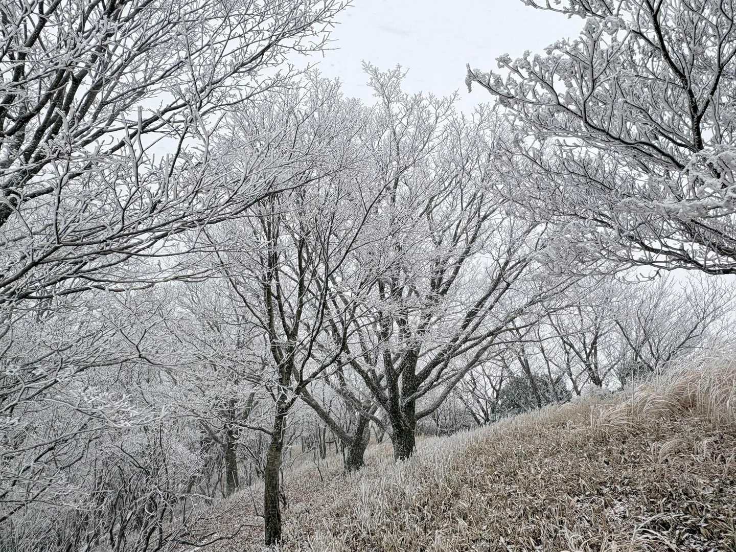 青空が欲しい！
ここでインナー手袋落とす😓ﾀﾏｵｰｻｰﾝ!