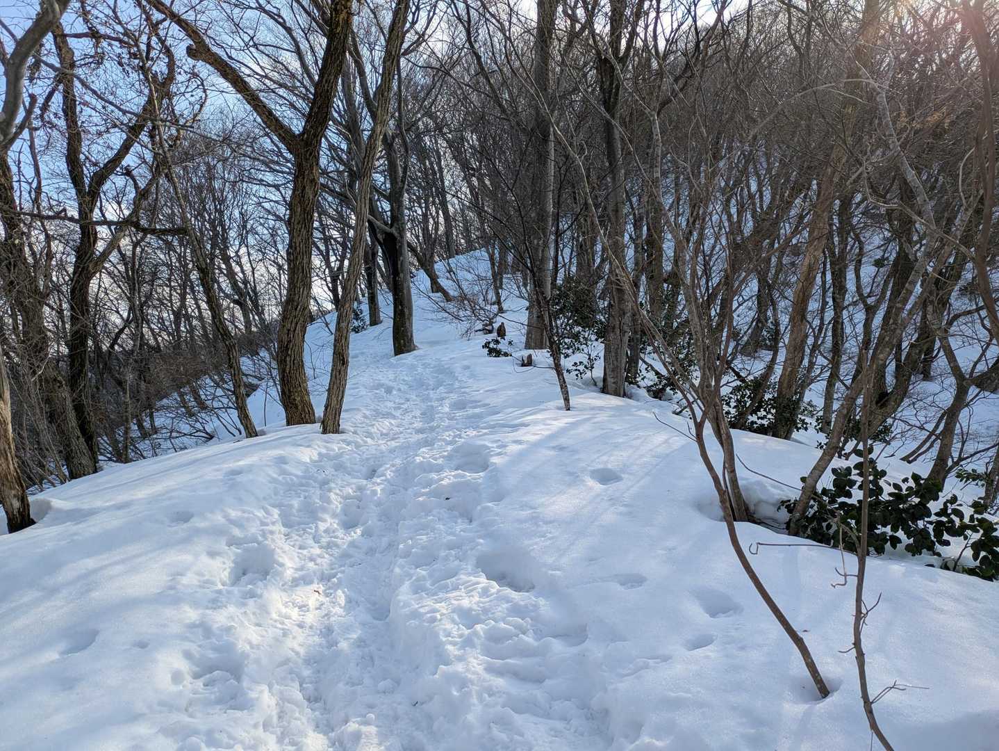 土日に皆さん登られたんでしょうね。
トレースはしっかりありますよ☺️
