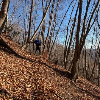 🍂🍂🍂🍂🍂🍂フッサフッサ