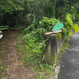 またまた山へ