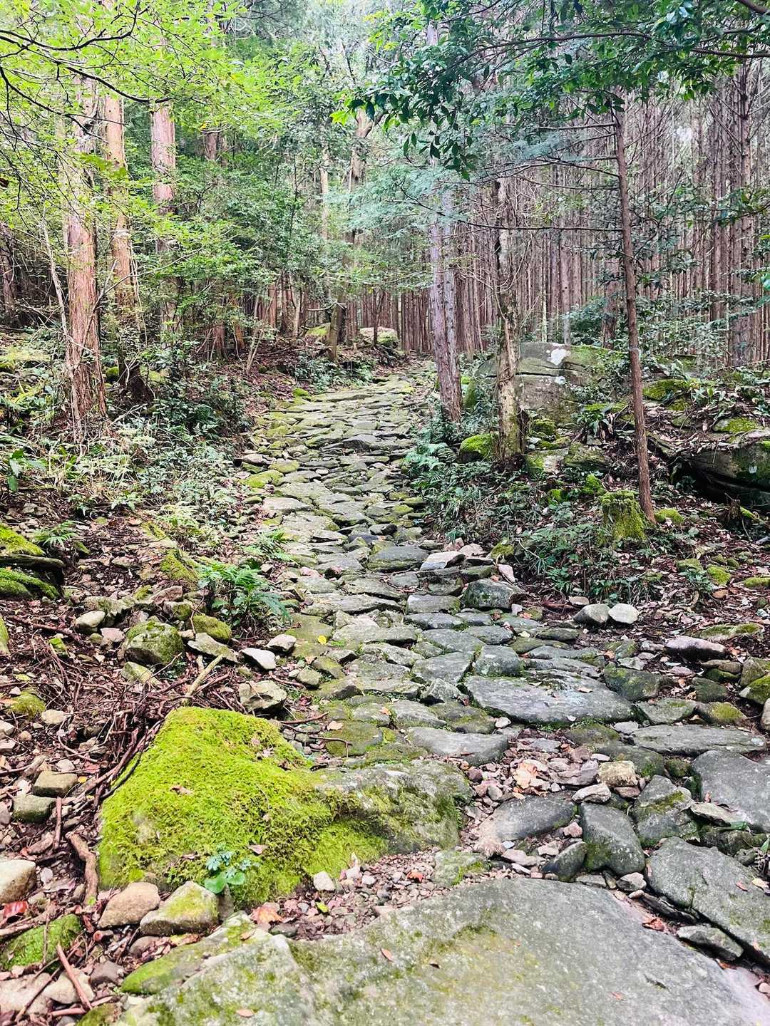 石畳が雰囲気ありますがとても滑りやすい〜