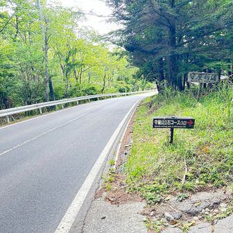 国道へ出ました
車ビュンビュン🚗🛻🚙🏎️

当たると痛そうなのはさすがに想像できます😄
端っこを轢かれないよう願って歩きます🚶