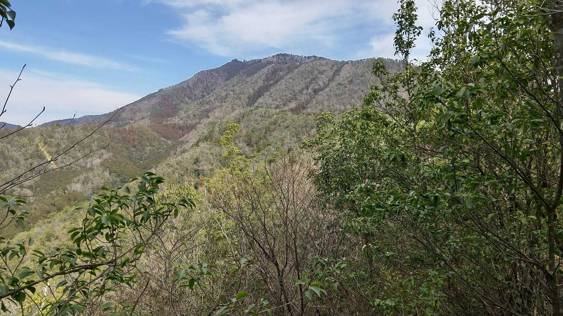 ツツジ尾根から愛宕山！まだまだ遠いです。