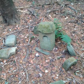 ピークに到着です。