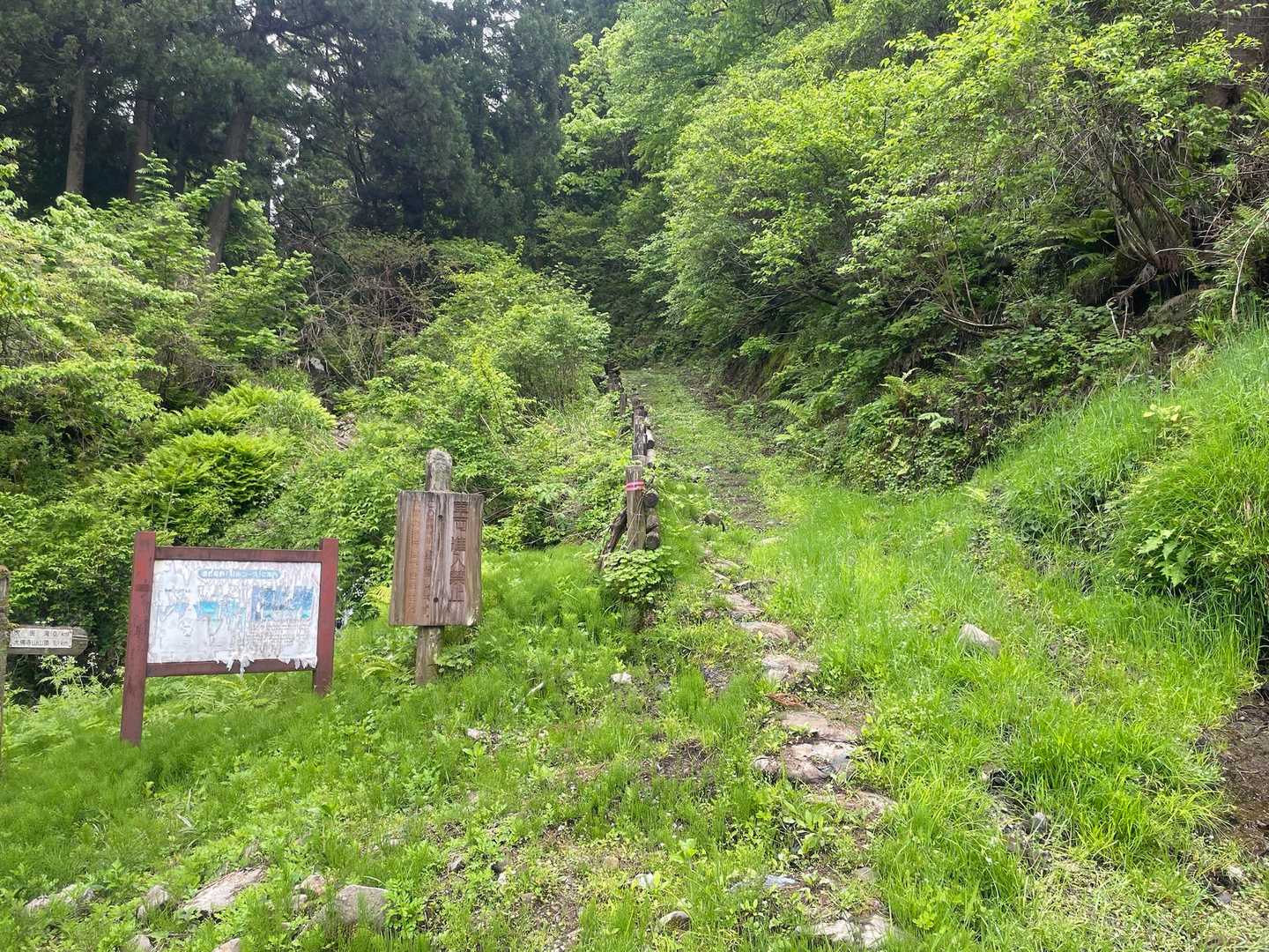 登山口。ここから登ります。
今日は蒸し暑いです💦