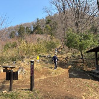 桜峠〜。
清水寺の駐車場へ→