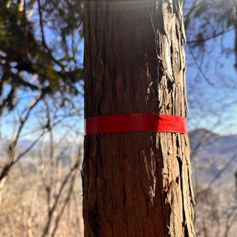 小沢の頭🏔️
山標見当たらず…
