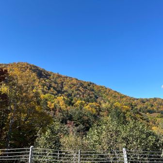 周りの山も色づき始めています。