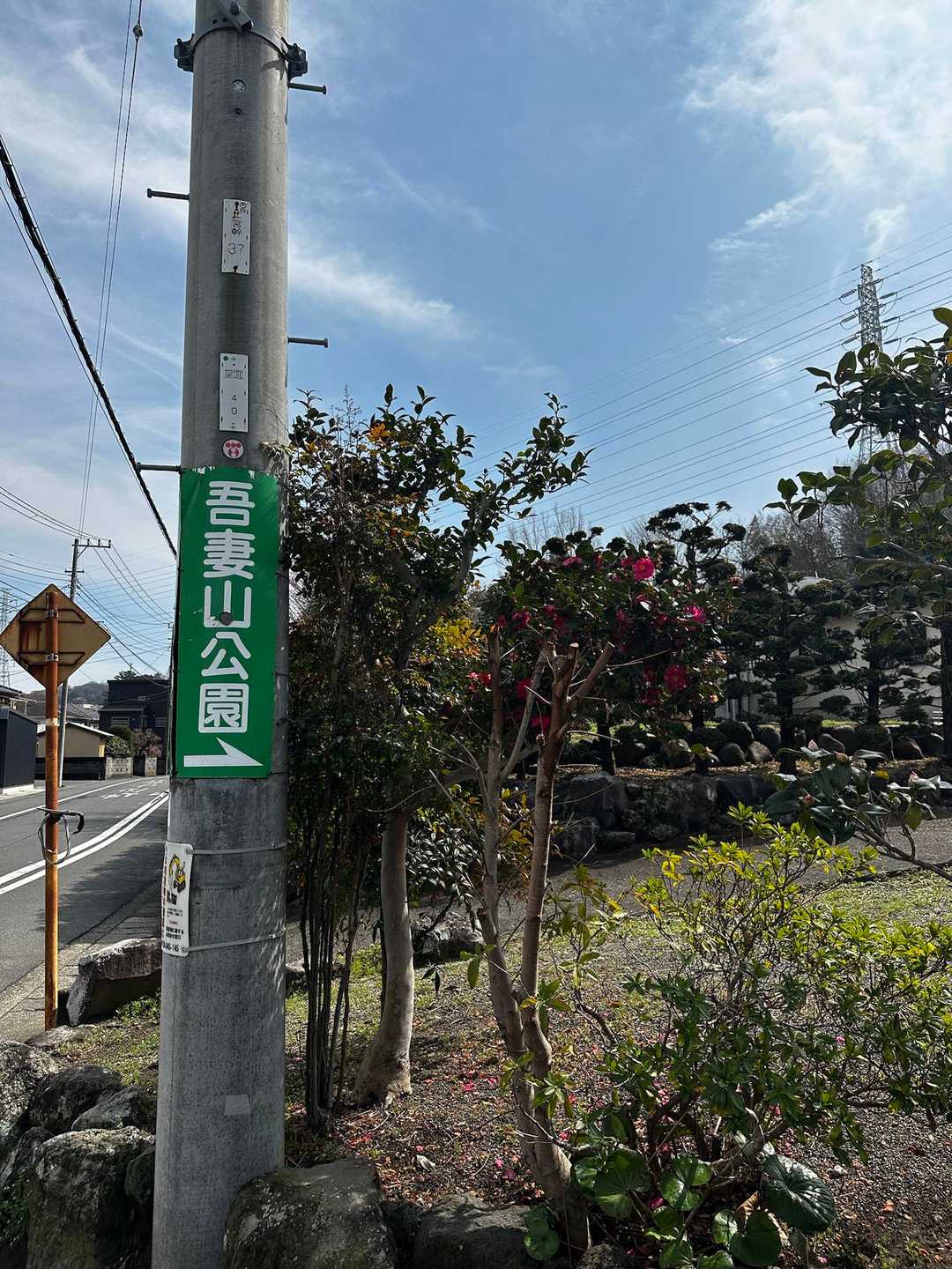 ここから登ります