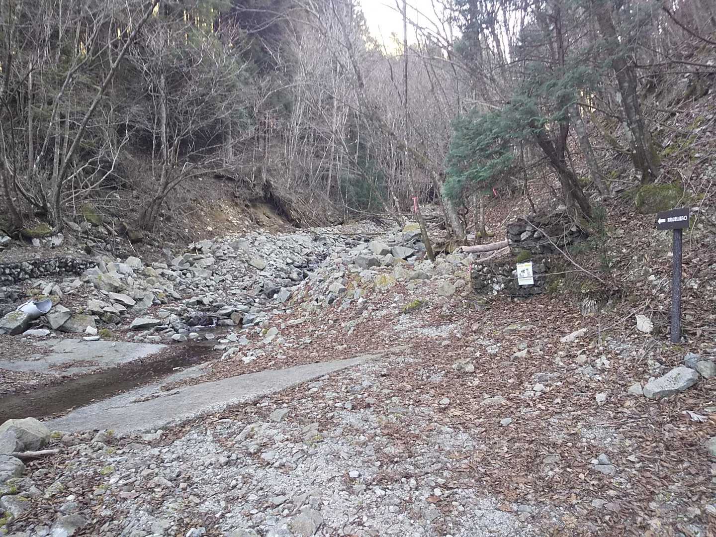林道に出てきて登山道入り口をふり帰る
右が登山道
ここからは日がくれても安全な林道歩き