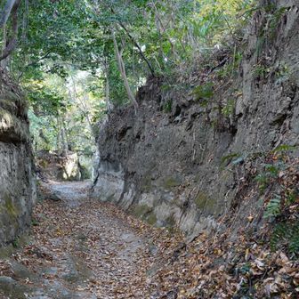 いきなり立派な切り通しを通り鎌倉の都へ！