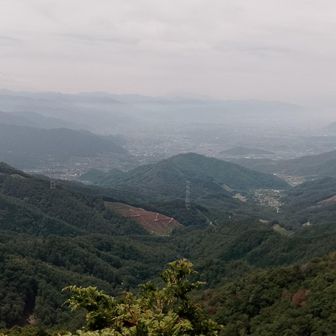 富士山見えるが