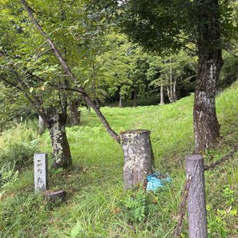 こちらは二ノ丸。