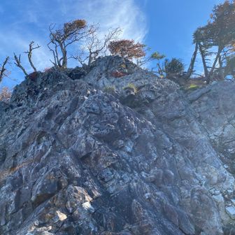 岩場も。ここでスライドされた方に話を聞くと、吉野を出発して、奥崖道4日目とのこと。先を急がれていました
