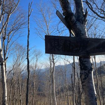 逆光ですが東仙波山