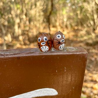 どんぐりトトロ発見☺️