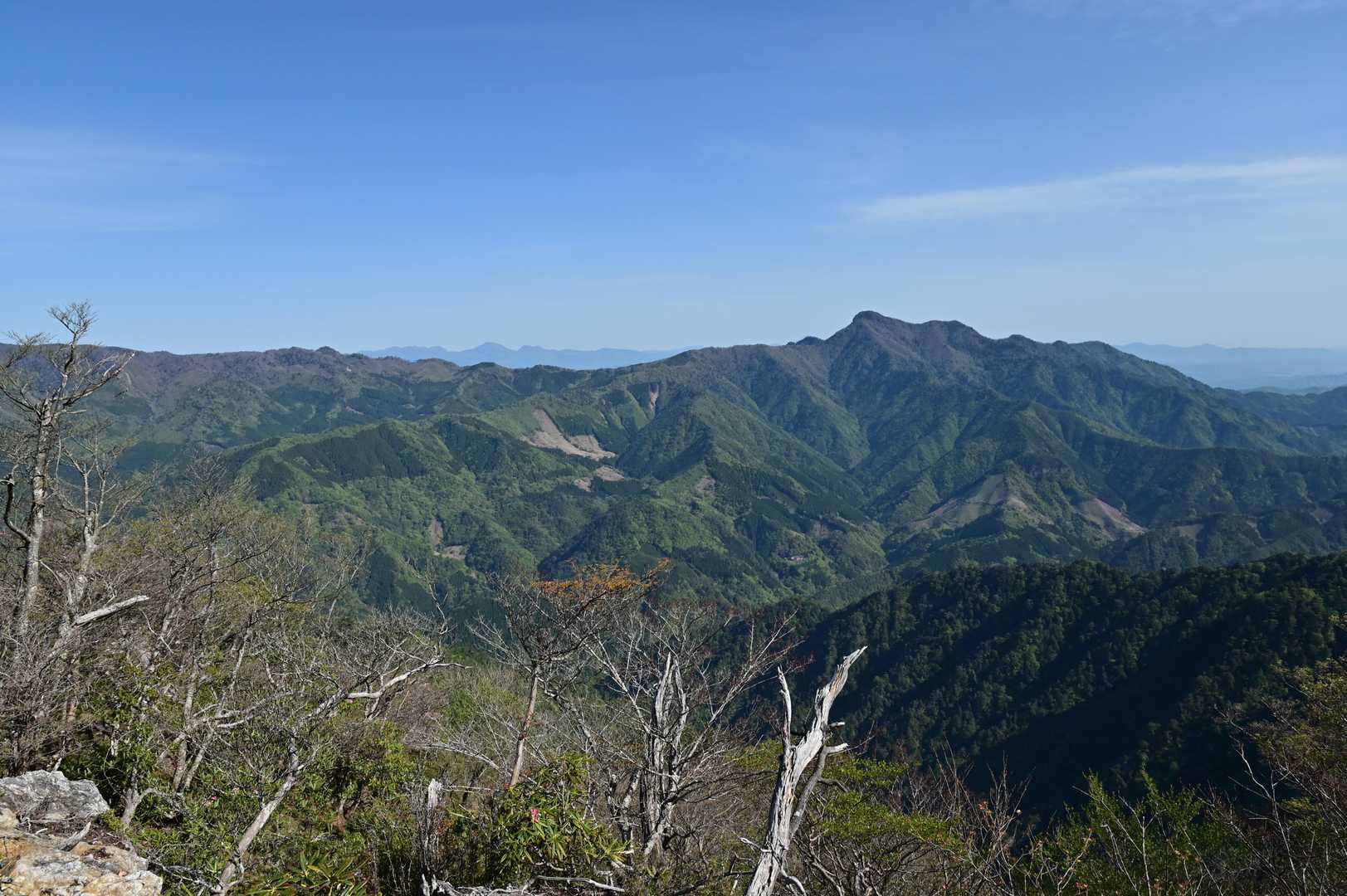 素晴らしい眺めです