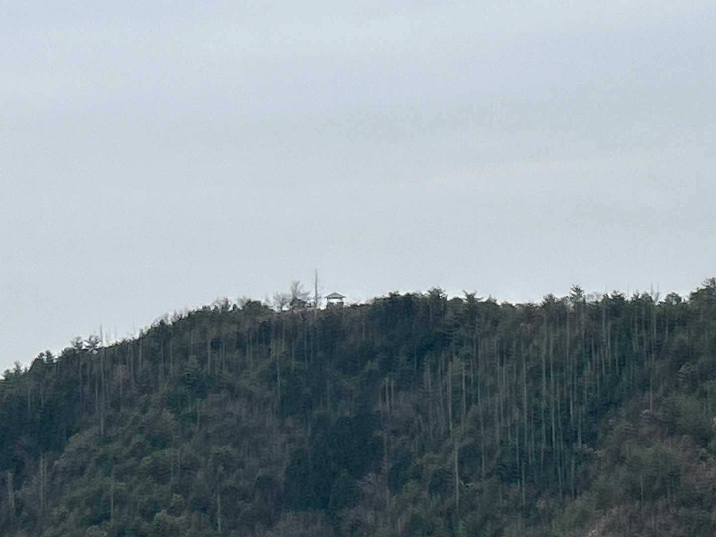 ズームすると東屋が見える〜😆