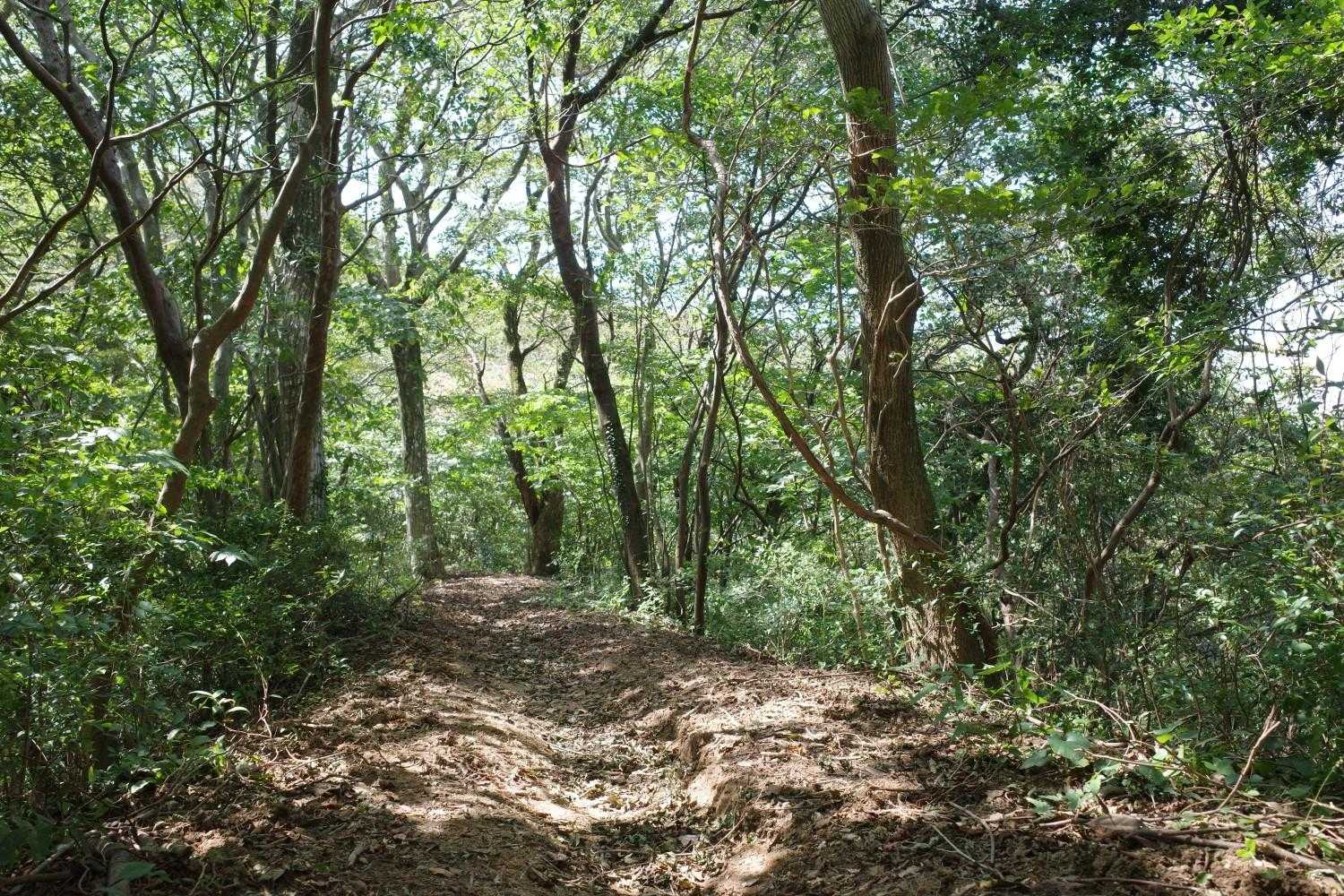気持ちよく疾走しました🏃💨