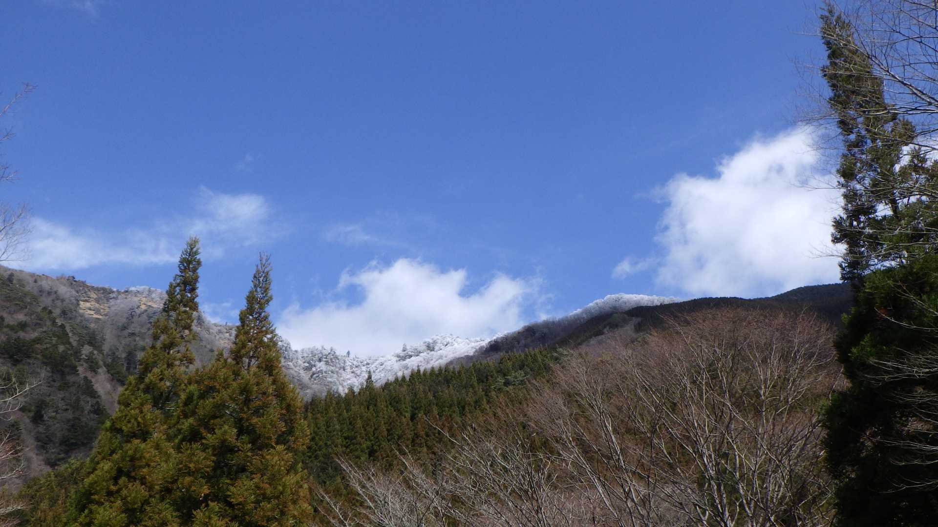 樹氷が真っ白で日に映えてきれいだ。