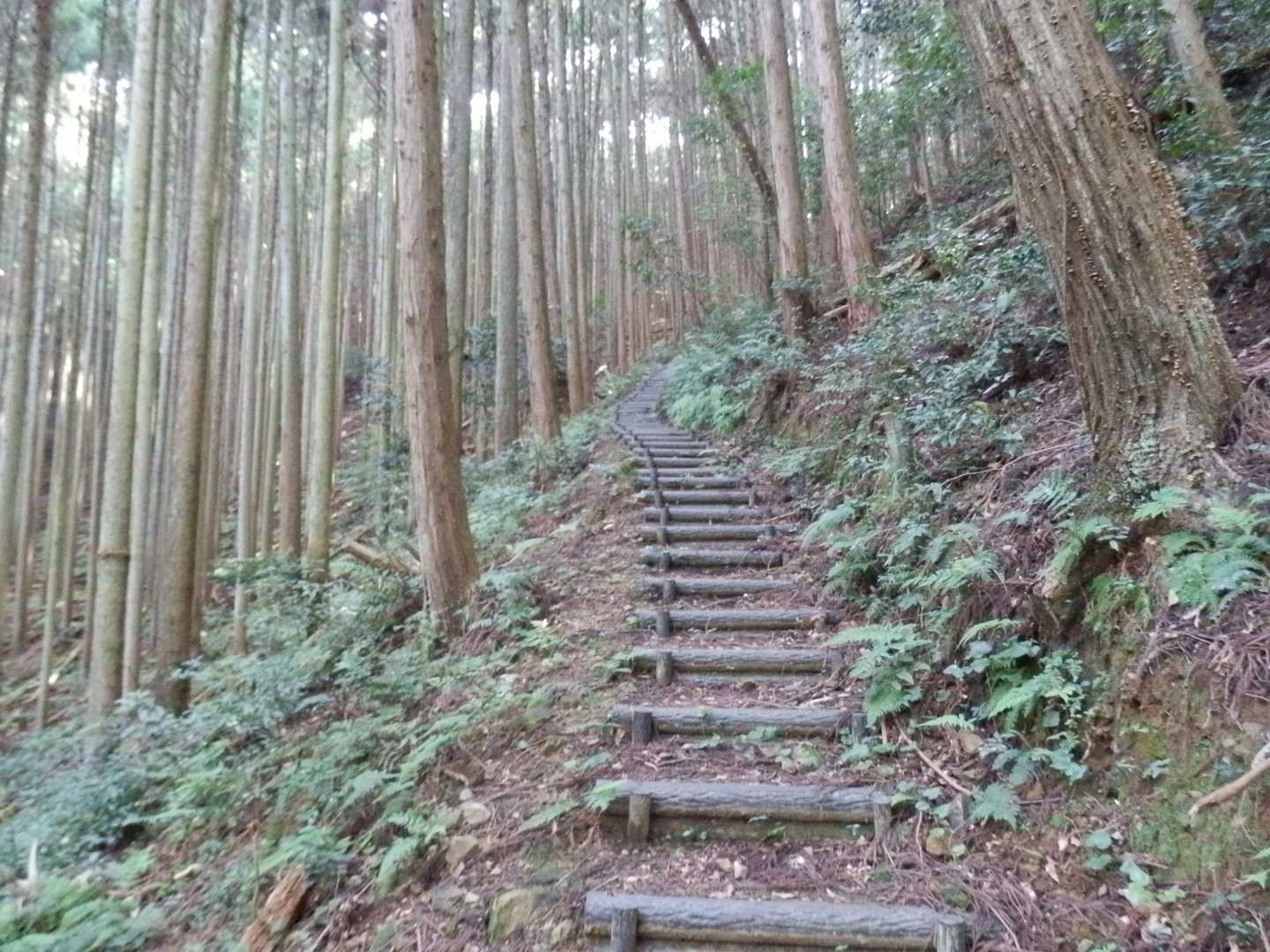 ここからが階段攻撃