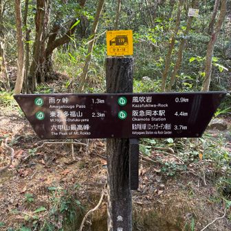 風吹岩を通って岡本駅へ向かいます。