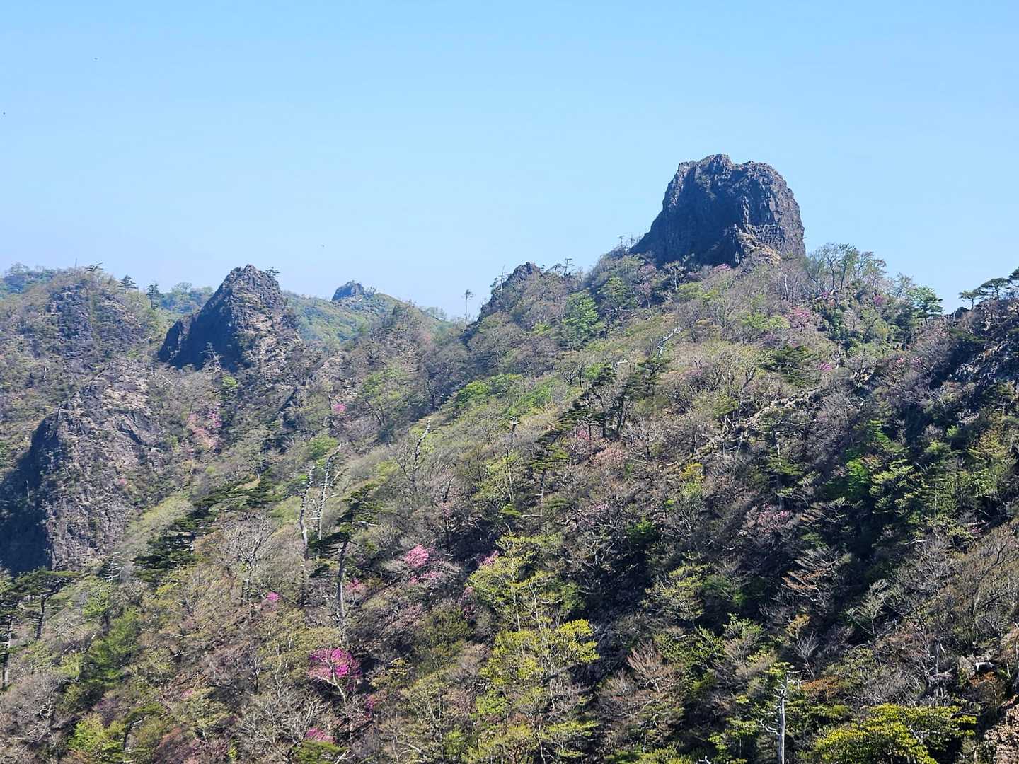 鹿納山もうすぐ
ポコンと目立ちますね