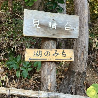 見晴台からも、、、