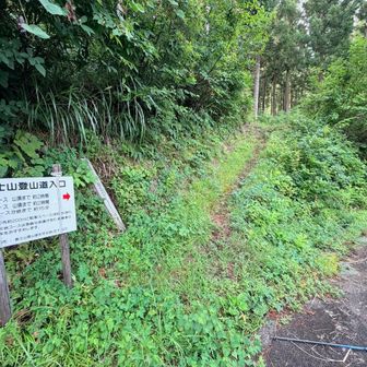 登っていきましょう。