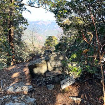 天地山頂上　木々の隙間から北方向ちょこっと眺望