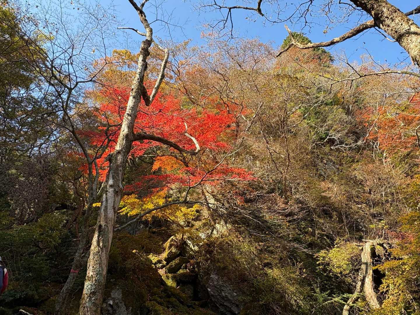 猪ノ瀬戸登山口-由布岳 往復コースの写真
