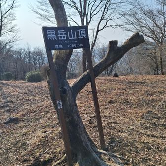 山頂は広いです