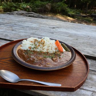 カレーは中辛で美味しい！ハーブ？が効いている。かき氷もやっているみたい