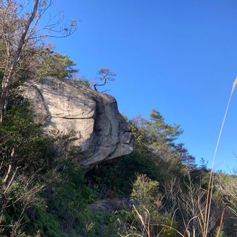竜の口岩🪨

ちょんまげの魚に見える笑