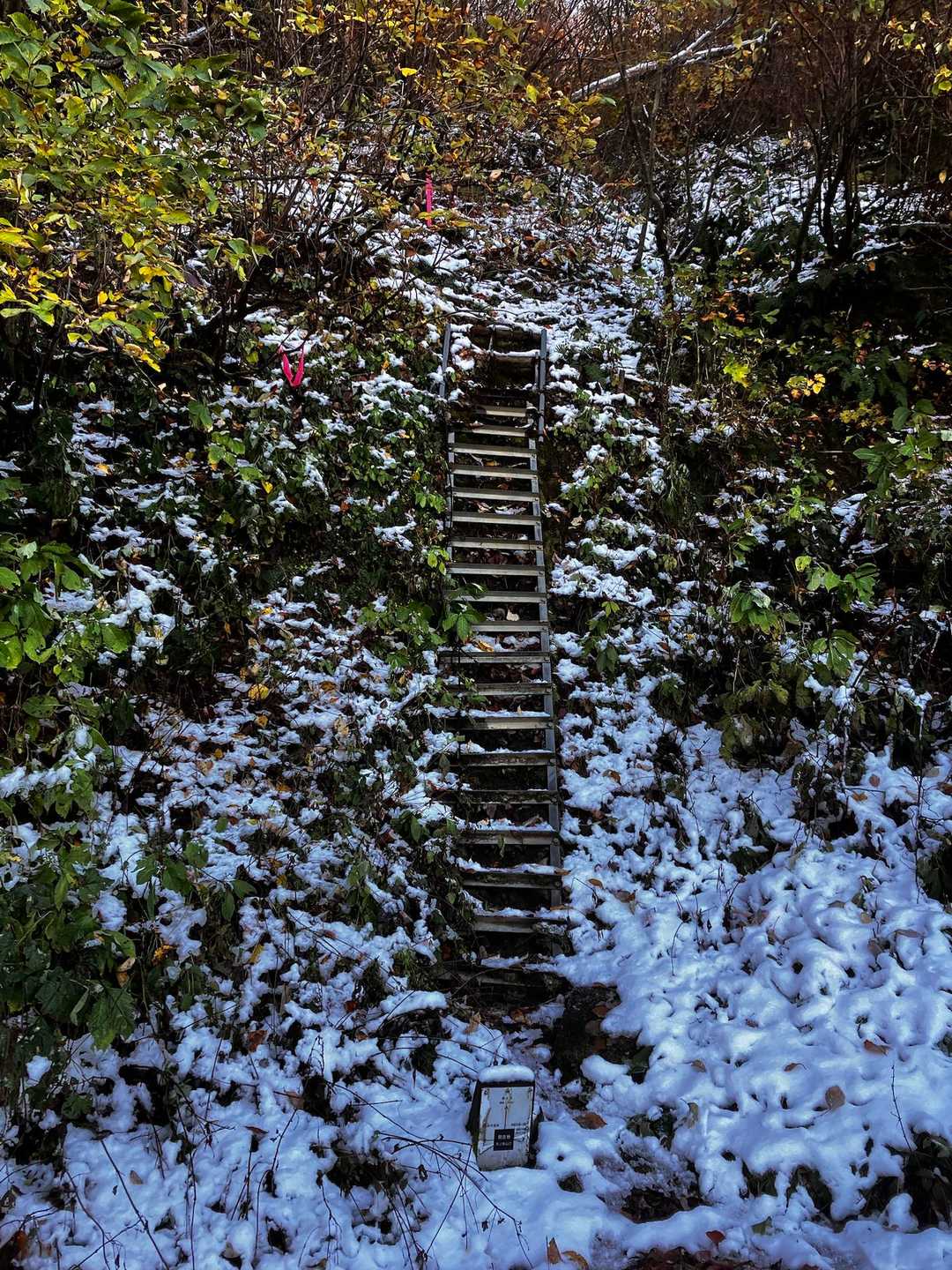 登山口はここ
雪ですべるからハシゴは注意
ここから尾根に取り付くまで急坂で滑りやすい