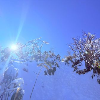 ココを上がり切れば