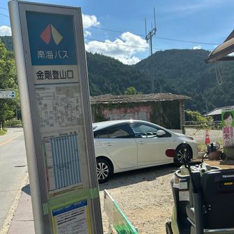 ゴールの金剛登山口バス停に到着。

ソロで金剛山は不安もありましたが、なんとか行くことができました😊

景色は物足りないですが、その代わりお花観察ができるところ。

目当てのお花が見られて良かったです^ ^
