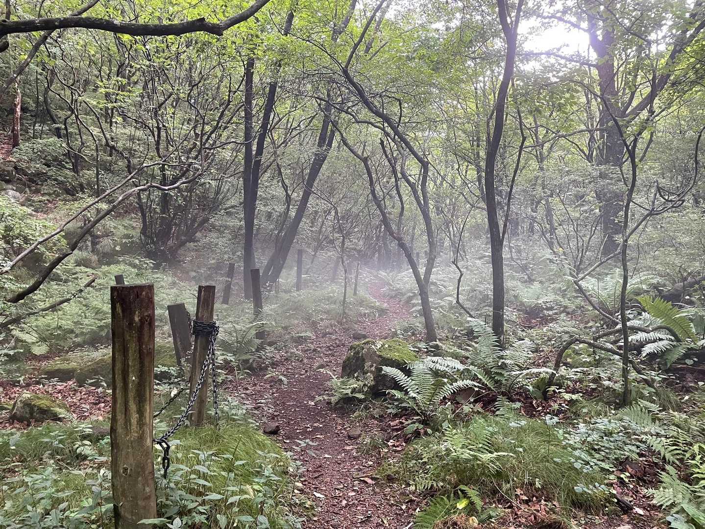 ずっと涼しくて下界に戻りたくなくなっちゃいますね！！