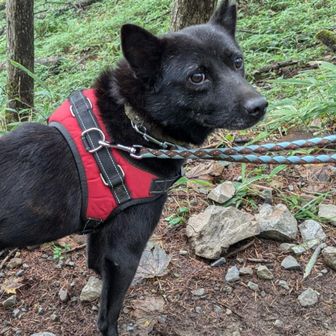 たーちゃん＆ひとみ