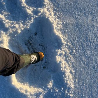 積雪10センチぐらい