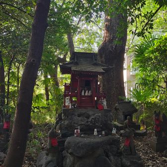 本当の高田富士はここではなく、庭園の中にあるらしいのですが、今日は時間が押しているのでパス😁