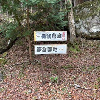 林道にでる