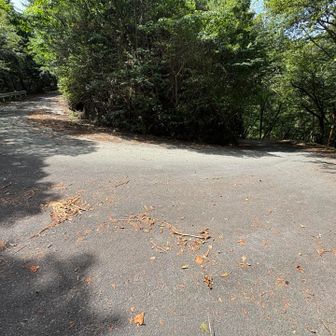 舗装道路に出た